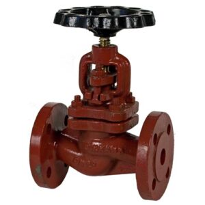 PN 16 Ductile Iron Globe Regular Valve