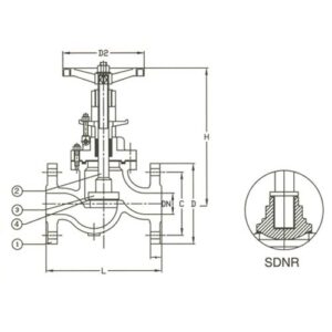 PN 160 Cast Steel Globe SDNR Valve