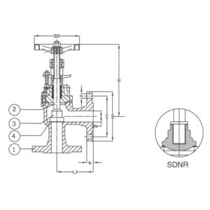 PN 16 Ductile Iron Angle SDNR Valve