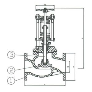 PN 16 Cast Steel Overboard Spring loaded, Globe Valve