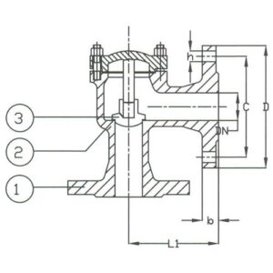PN 16 Cast Iron Lift Check Angle Pattern Valve