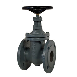 PN 10 Cast Iron Gate Valve